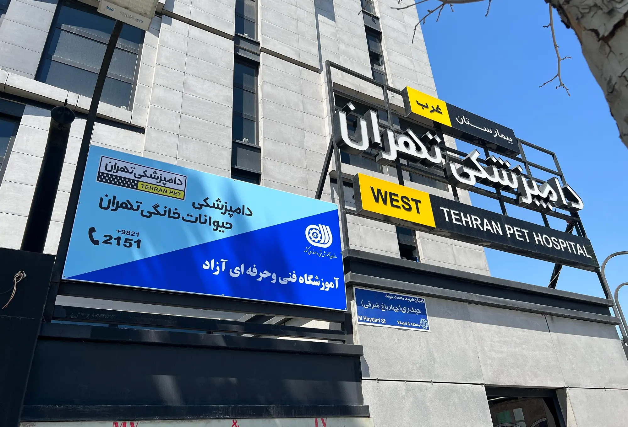 بیمارستان دامپزشکی تهران