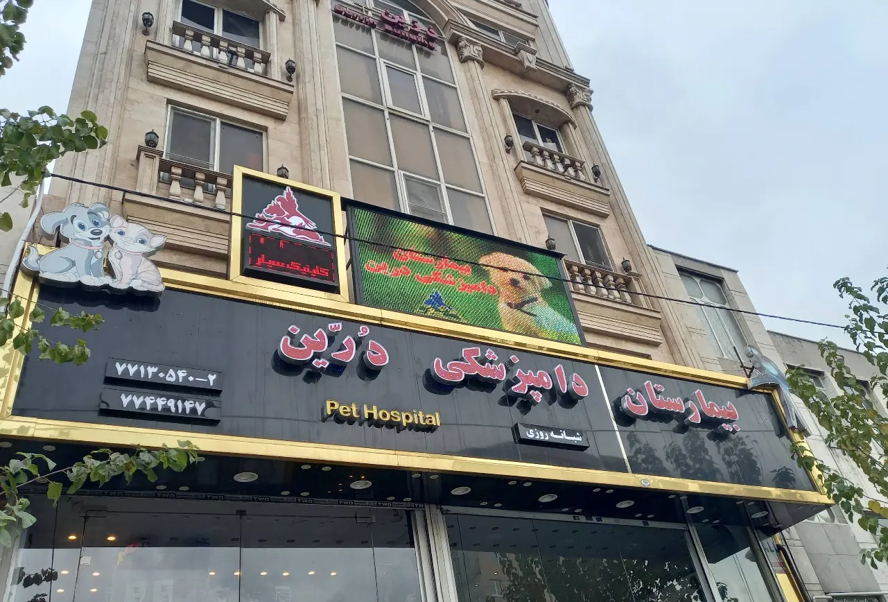 بیمارستان دامپزشکی درین
