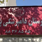 بیمارستان دامپزشکی شبانه روزی پایتخت