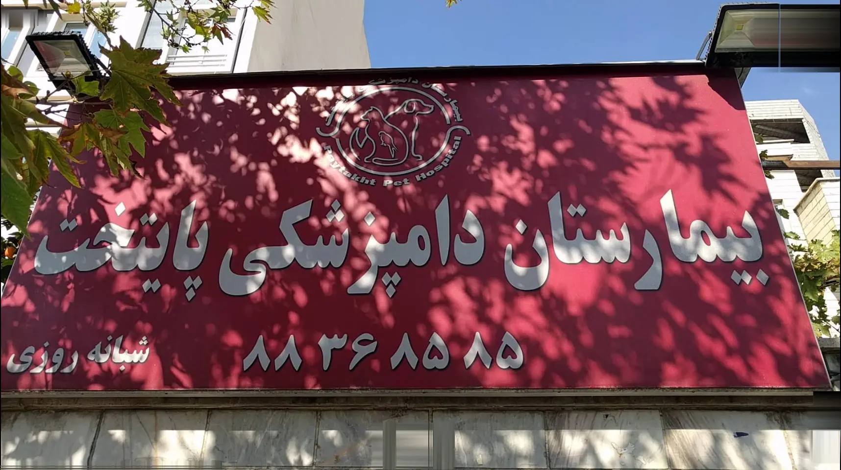 بیمارستان دامپزشکی پایتخت