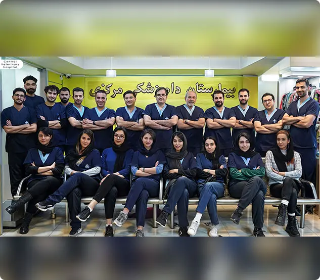 تصویر اول بیمارستان دامپزشکی مرکزی تهران