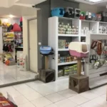 تصویر اول بیمارستان دامپزشکی نیکان