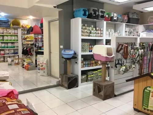 تصویر اول بیمارستان دامپزشکی نیکان