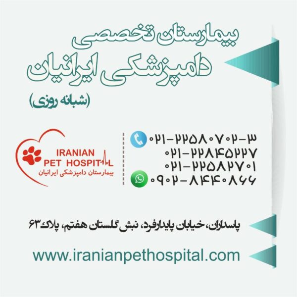 تصویر دوم بیمارستان دامپزشکی ایرانیان