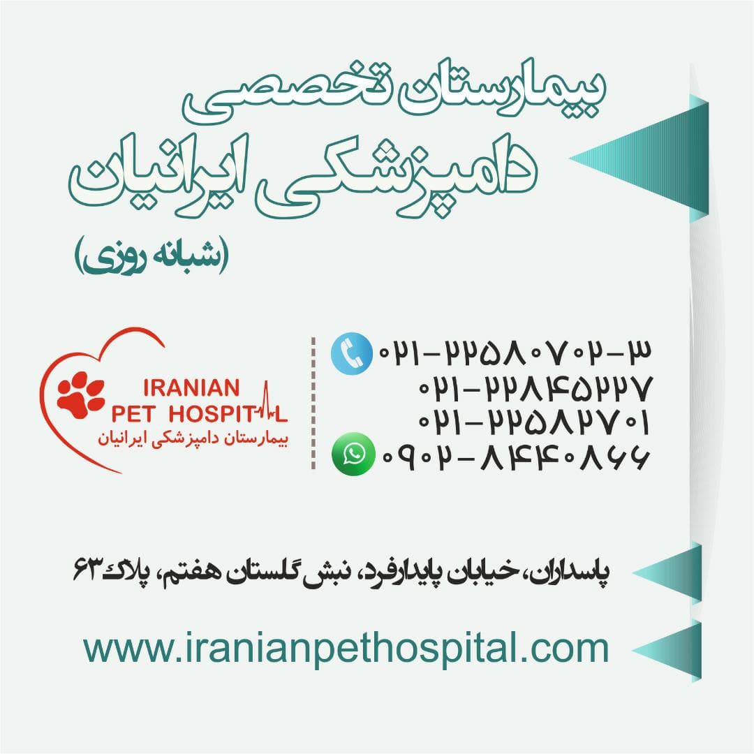 تصویر دوم بیمارستان دامپزشکی ایرانیان