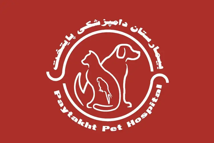 تصویر دوم بیمارستان دامپزشکی پایتخت