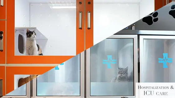 تصویر پنجم بیمارستان دامپزشکی مرکزی تهران