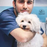 تصویر چهارم بیمارستان دامپزشکی نیکان