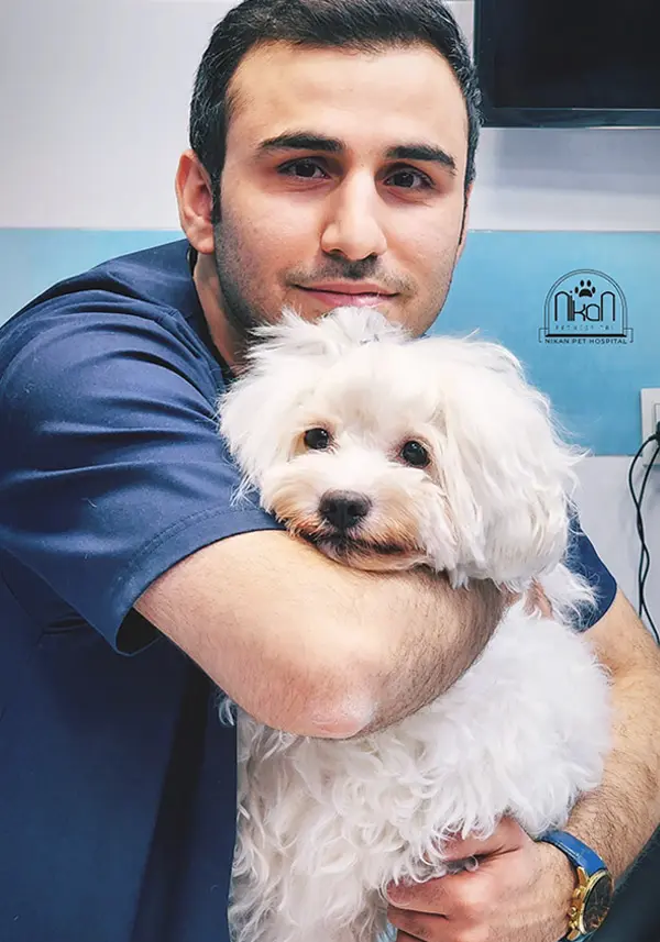 تصویر چهارم بیمارستان دامپزشکی نیکان