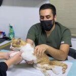 چهارمین تصویر بیمارستان دامپزشکی اورانوس