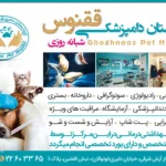 تصویر اول بیمارستان دامپزشکی ققنوس