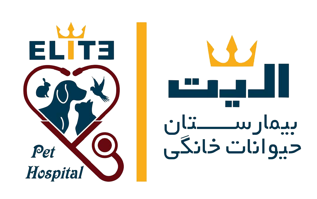تصویر دوم بیمارستان دامپزشکی الیت