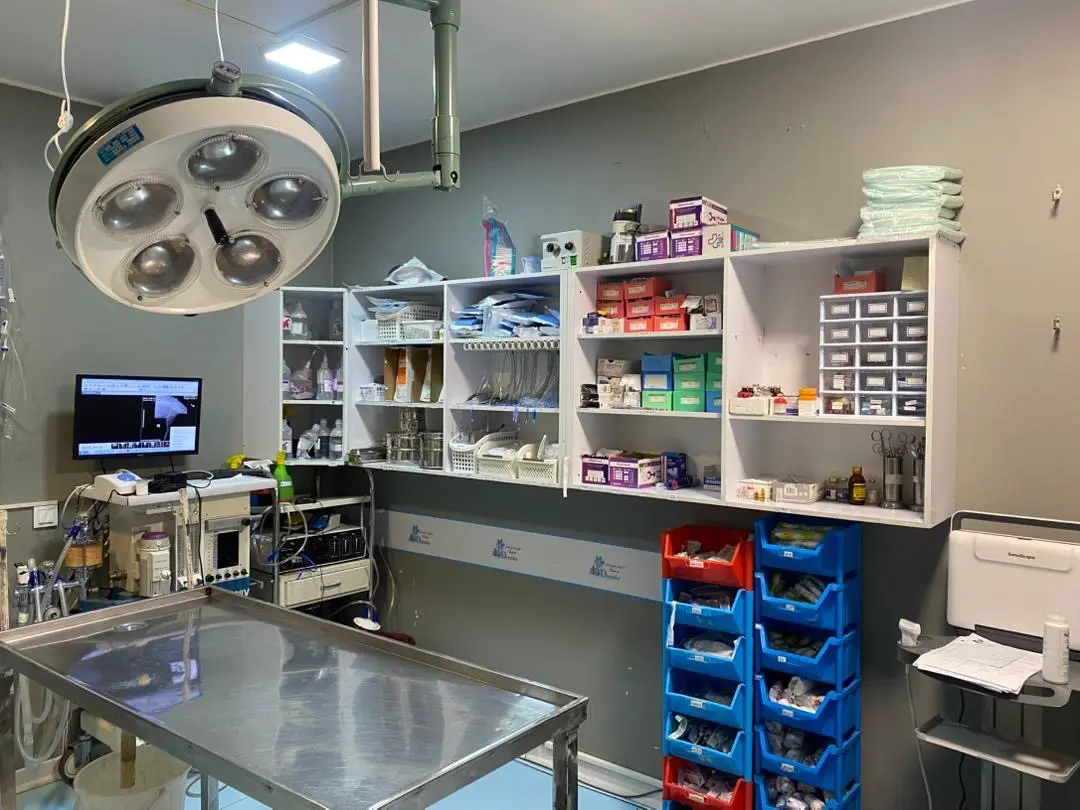 تصویر دوم بیمارستان دامپزشکی درنیکا