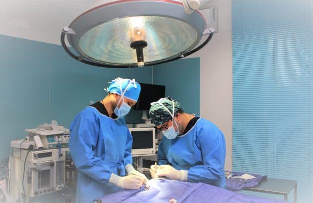 تصویر دوم بیمارستان دامپزشکی ققنوس