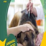 تصویر پنجم بیمارستان دامپزشکی ایرانیان