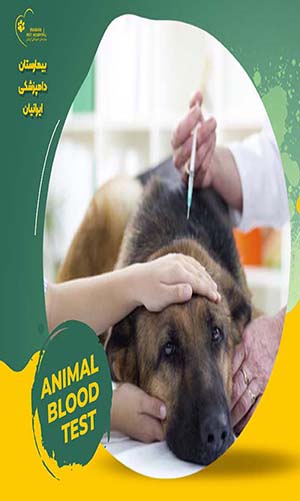 تصویر پنجم بیمارستان دامپزشکی ایرانیان