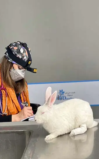 تصویر پنجم بیمارستان دامپزشکی درنیکا