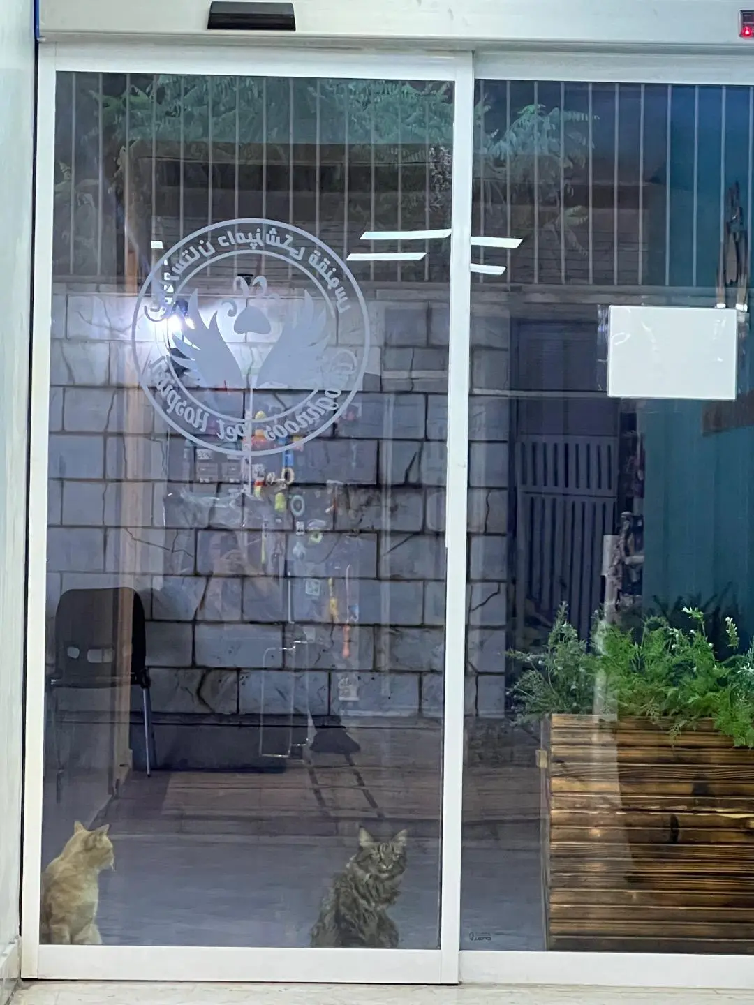 تصویر پنجم بیمارستان دامپزشکی ققنوس