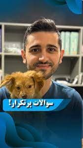 تصویر پنجم کلینیک دامپزشکی مورفین