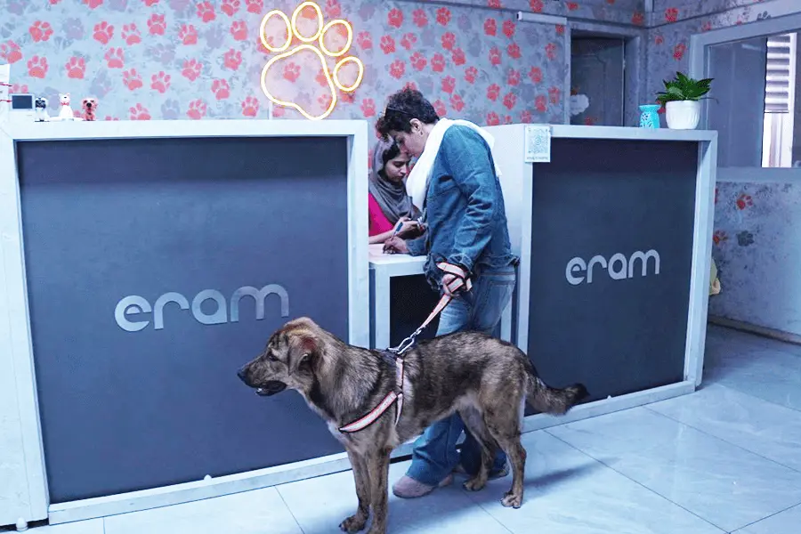 دومین تصویر بیمارستان دامپزشکی ارم